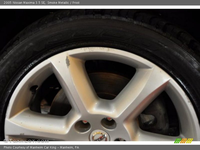 Smoke Metallic / Frost 2005 Nissan Maxima 3.5 SE