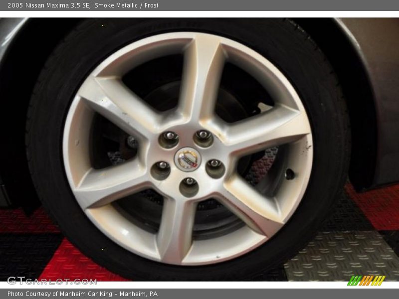 Smoke Metallic / Frost 2005 Nissan Maxima 3.5 SE