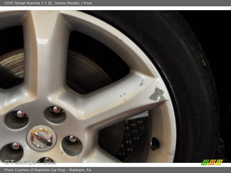 Smoke Metallic / Frost 2005 Nissan Maxima 3.5 SE