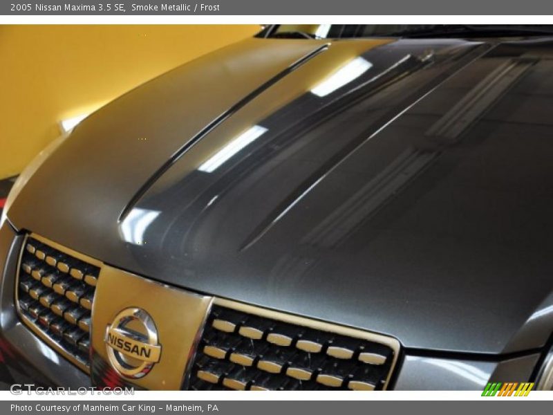 Smoke Metallic / Frost 2005 Nissan Maxima 3.5 SE
