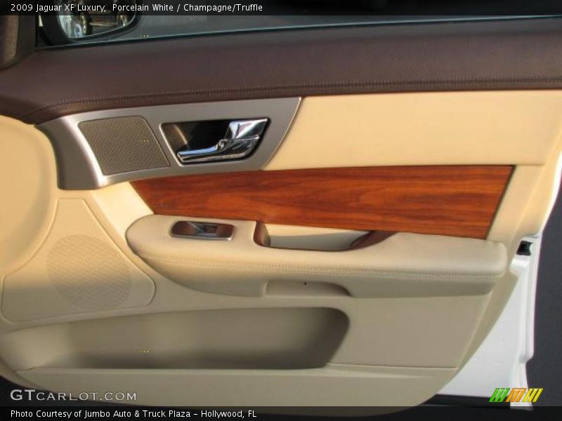 Door Panel of 2009 XF Luxury