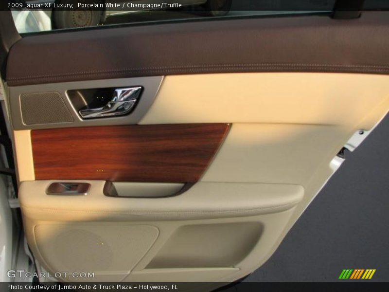 Door Panel of 2009 XF Luxury
