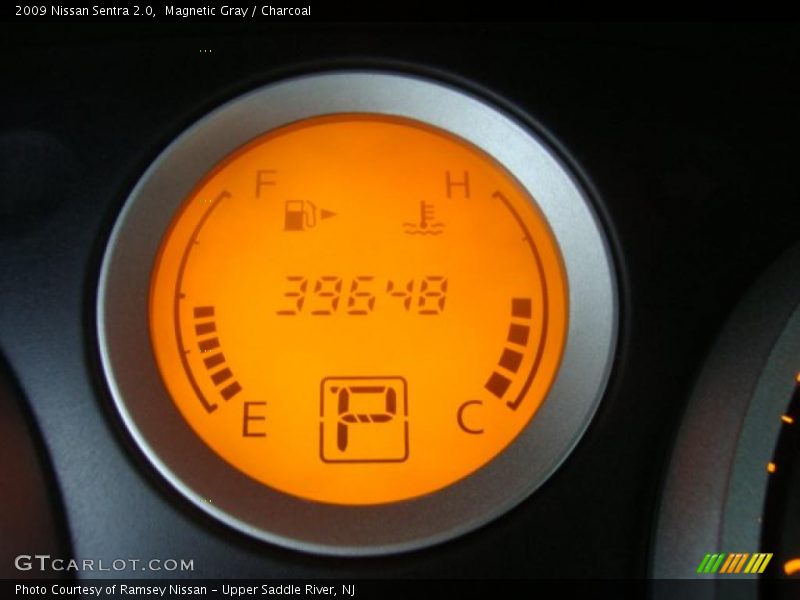 Magnetic Gray / Charcoal 2009 Nissan Sentra 2.0