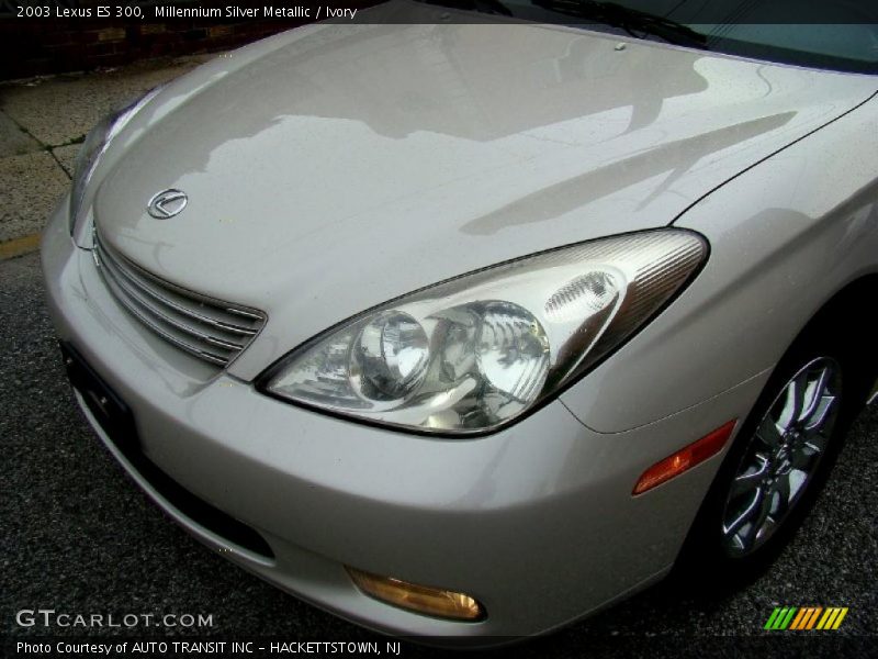 Millennium Silver Metallic / Ivory 2003 Lexus ES 300