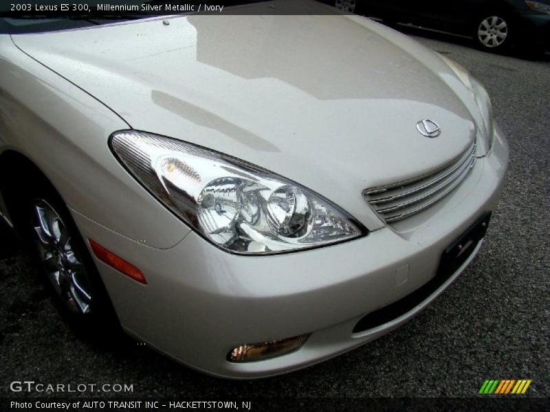Millennium Silver Metallic / Ivory 2003 Lexus ES 300