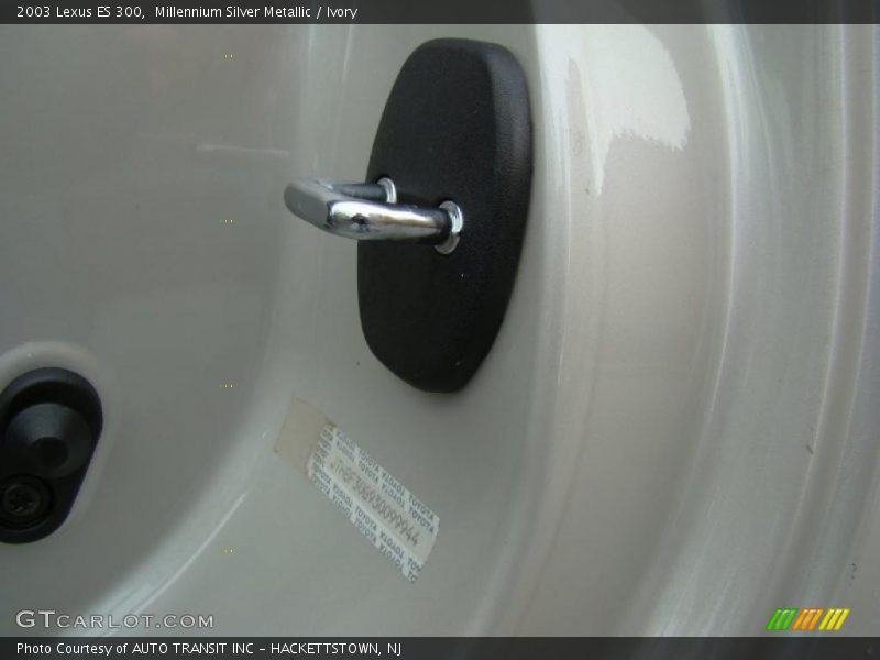 Millennium Silver Metallic / Ivory 2003 Lexus ES 300
