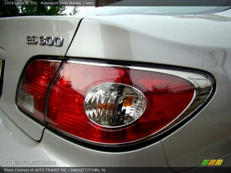 Millennium Silver Metallic / Ivory 2003 Lexus ES 300