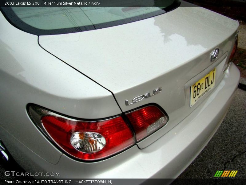 Millennium Silver Metallic / Ivory 2003 Lexus ES 300