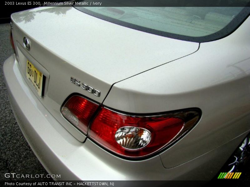 Millennium Silver Metallic / Ivory 2003 Lexus ES 300