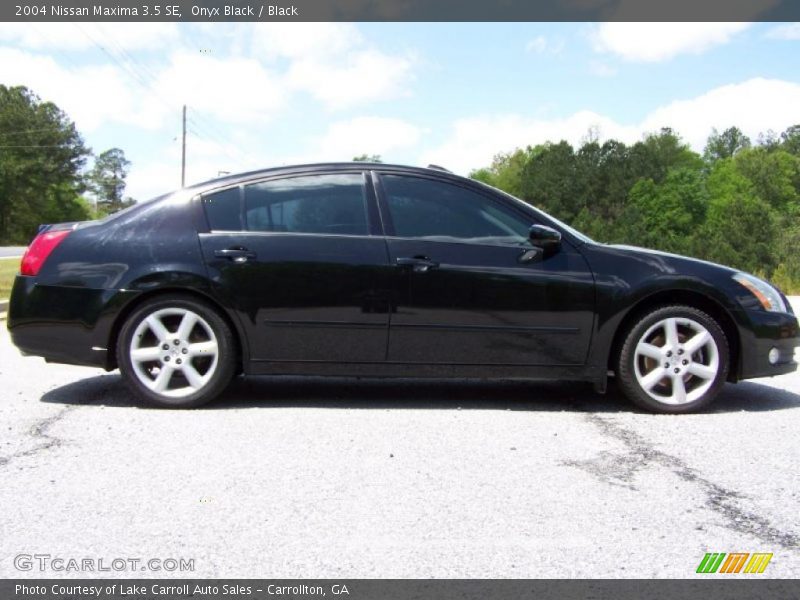 Onyx Black / Black 2004 Nissan Maxima 3.5 SE