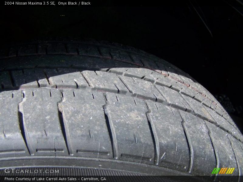 Onyx Black / Black 2004 Nissan Maxima 3.5 SE
