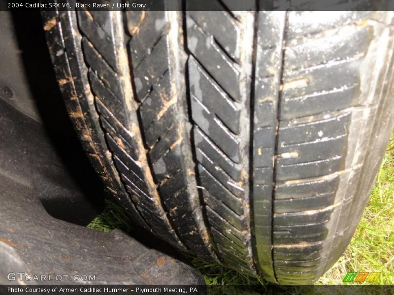 Black Raven / Light Gray 2004 Cadillac SRX V6