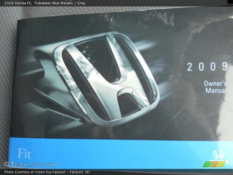 Tidewater Blue Metallic / Gray 2009 Honda Fit