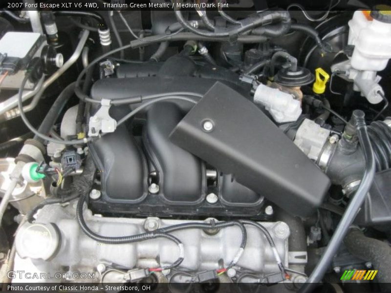 Titanium Green Metallic / Medium/Dark Flint 2007 Ford Escape XLT V6 4WD