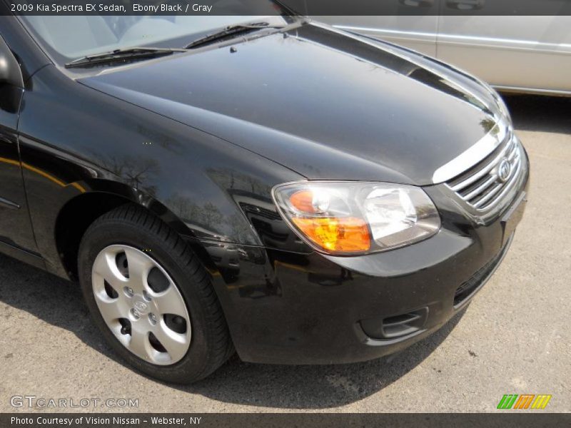 Ebony Black / Gray 2009 Kia Spectra EX Sedan