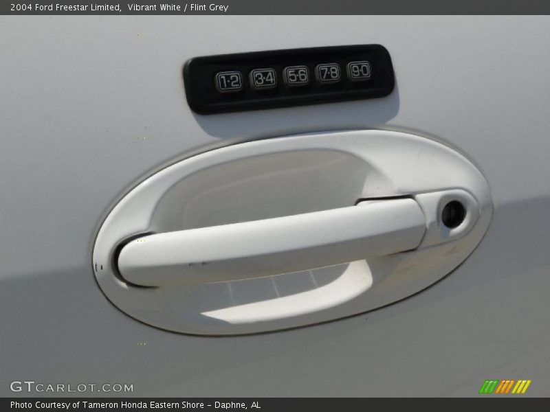 Vibrant White / Flint Grey 2004 Ford Freestar Limited