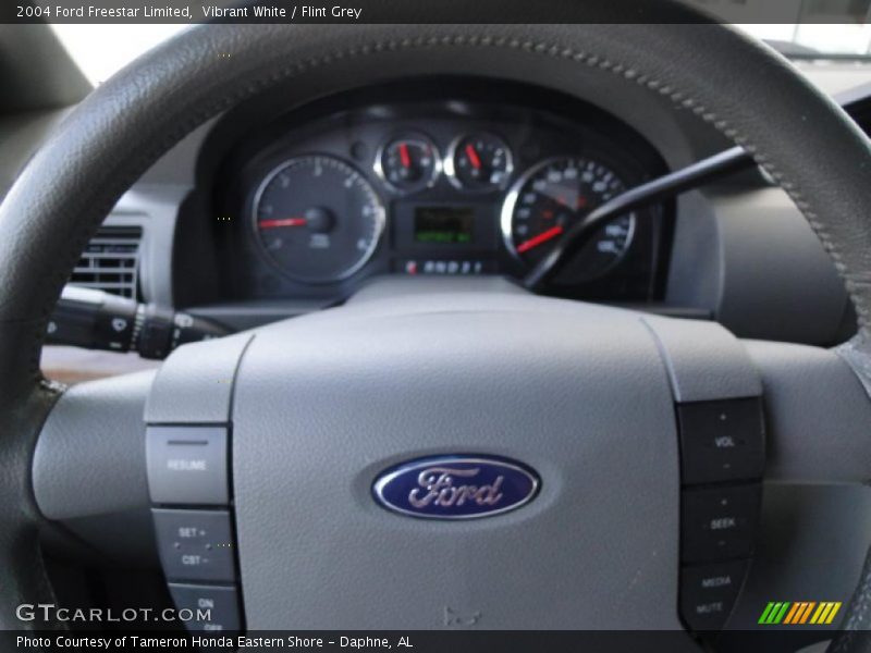 Vibrant White / Flint Grey 2004 Ford Freestar Limited