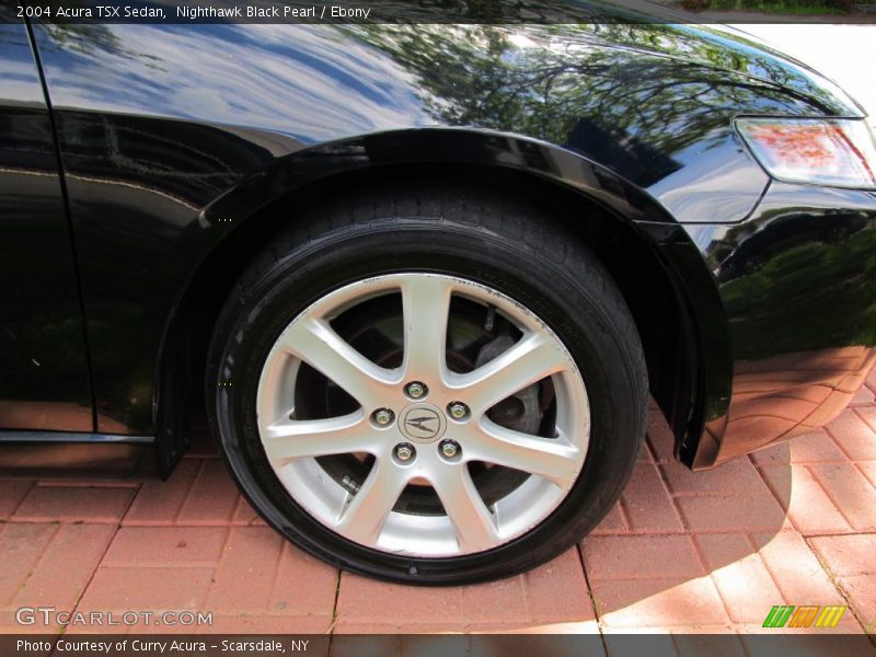 Nighthawk Black Pearl / Ebony 2004 Acura TSX Sedan