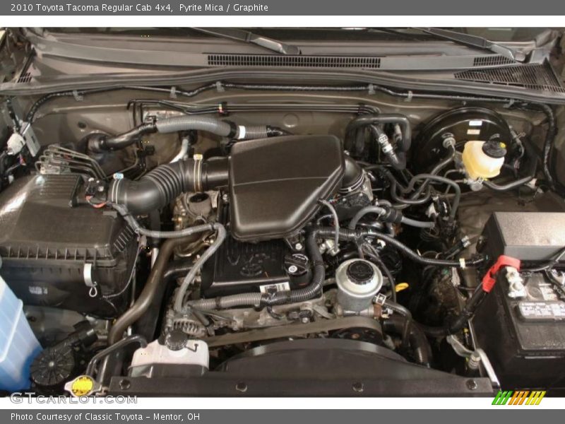 Pyrite Mica / Graphite 2010 Toyota Tacoma Regular Cab 4x4
