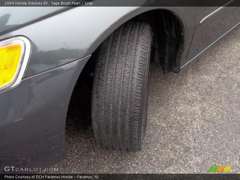 Sage Brush Pearl / Gray 2004 Honda Odyssey EX