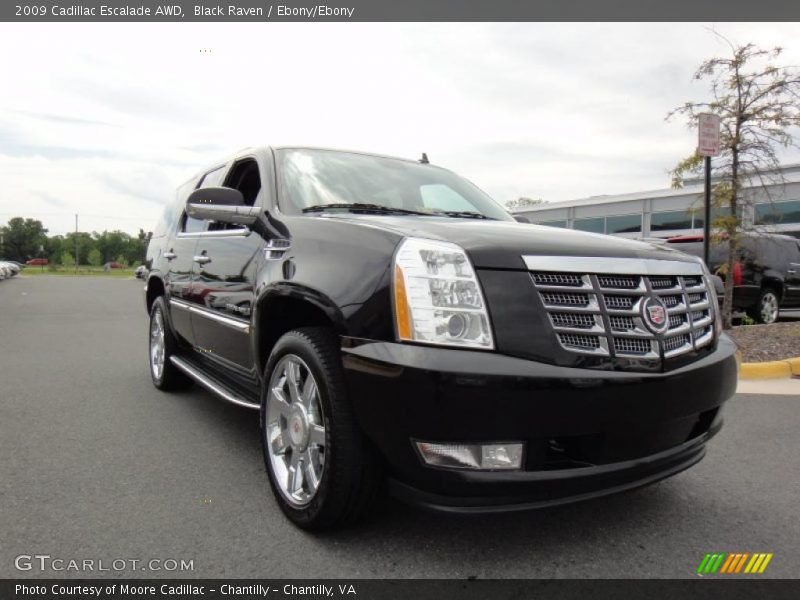 Black Raven / Ebony/Ebony 2009 Cadillac Escalade AWD