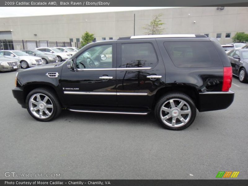 Black Raven / Ebony/Ebony 2009 Cadillac Escalade AWD
