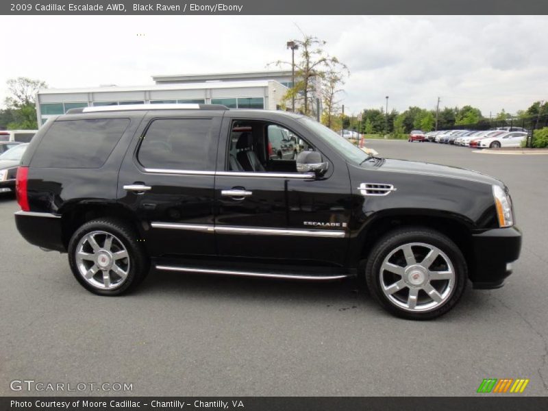 Black Raven / Ebony/Ebony 2009 Cadillac Escalade AWD
