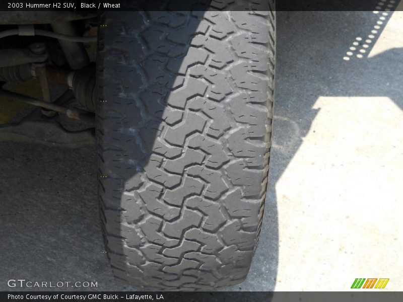 Black / Wheat 2003 Hummer H2 SUV
