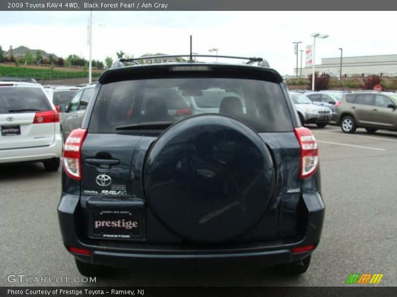 Black Forest Pearl / Ash Gray 2009 Toyota RAV4 4WD