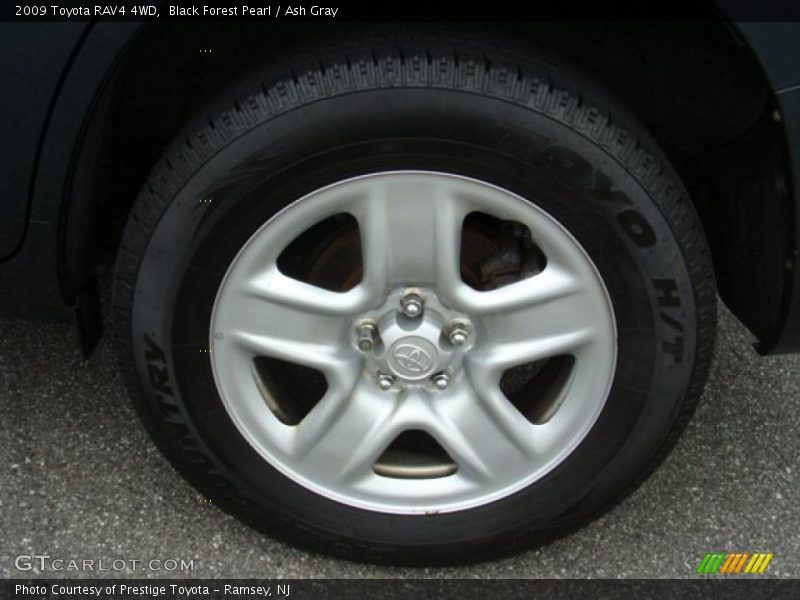 Black Forest Pearl / Ash Gray 2009 Toyota RAV4 4WD