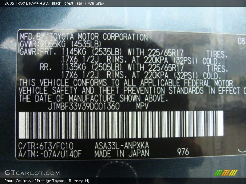 Black Forest Pearl / Ash Gray 2009 Toyota RAV4 4WD