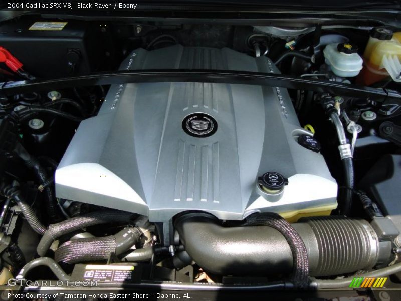 Black Raven / Ebony 2004 Cadillac SRX V8