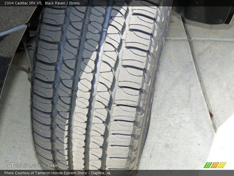 Black Raven / Ebony 2004 Cadillac SRX V8