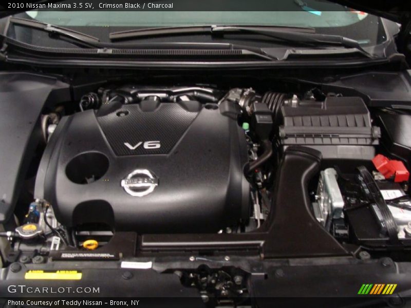 Crimson Black / Charcoal 2010 Nissan Maxima 3.5 SV
