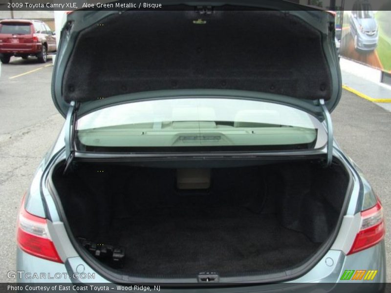 Aloe Green Metallic / Bisque 2009 Toyota Camry XLE
