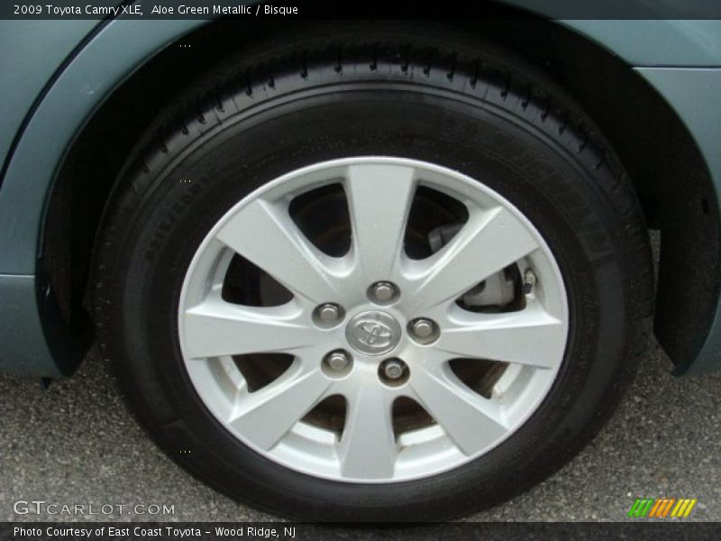 Aloe Green Metallic / Bisque 2009 Toyota Camry XLE