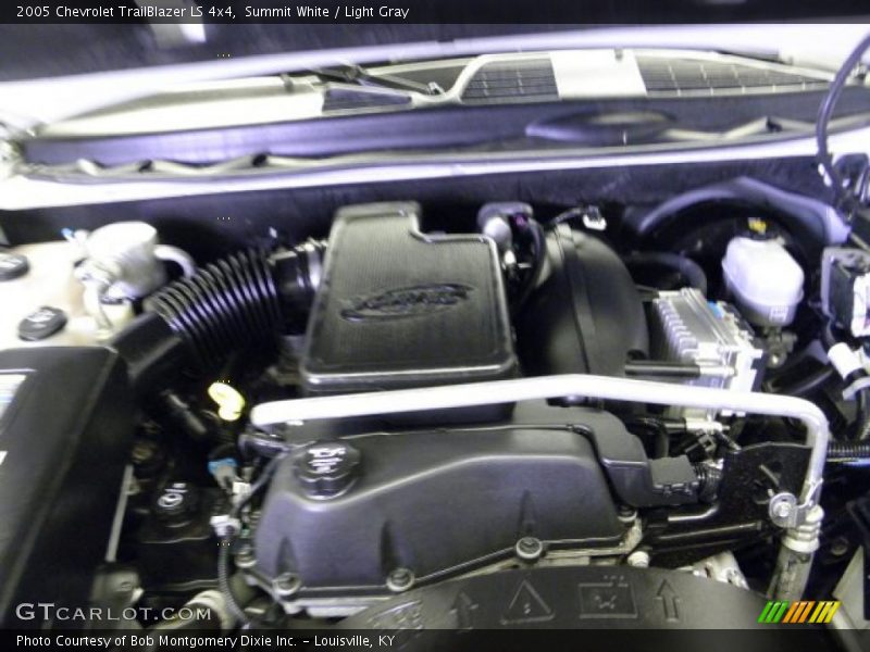 Summit White / Light Gray 2005 Chevrolet TrailBlazer LS 4x4