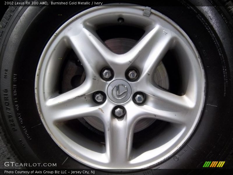 Burnished Gold Metallic / Ivory 2002 Lexus RX 300 AWD