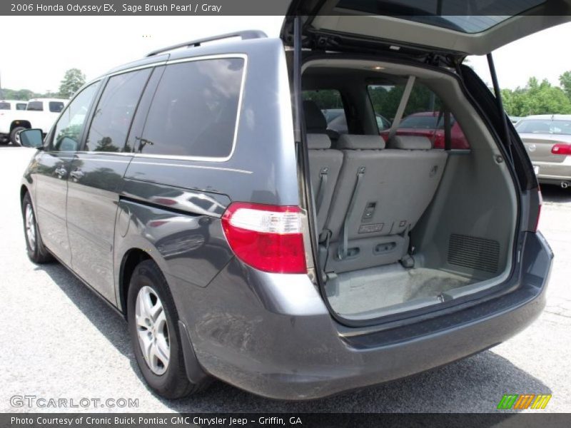 Sage Brush Pearl / Gray 2006 Honda Odyssey EX