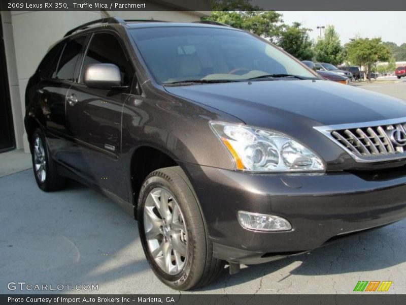 Truffle Mica / Parchment 2009 Lexus RX 350