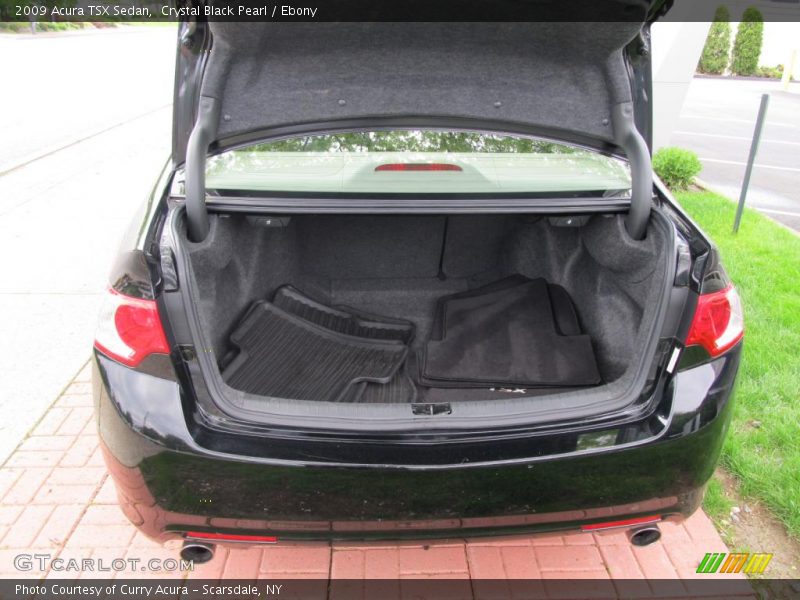 Crystal Black Pearl / Ebony 2009 Acura TSX Sedan