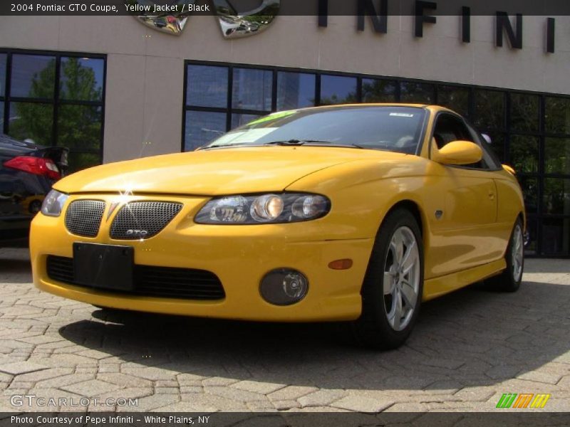 Yellow Jacket / Black 2004 Pontiac GTO Coupe