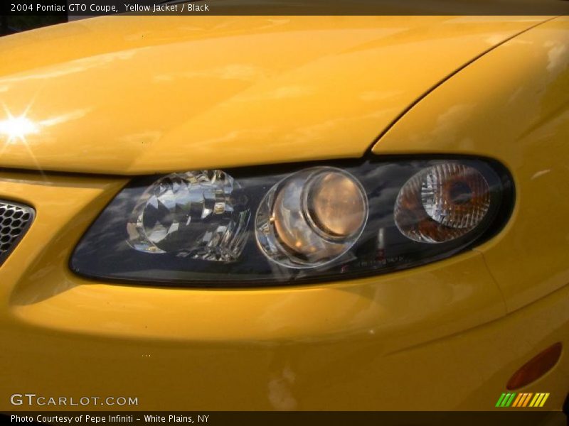Yellow Jacket / Black 2004 Pontiac GTO Coupe