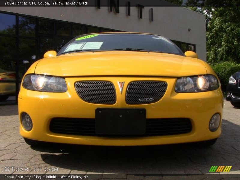 Yellow Jacket / Black 2004 Pontiac GTO Coupe