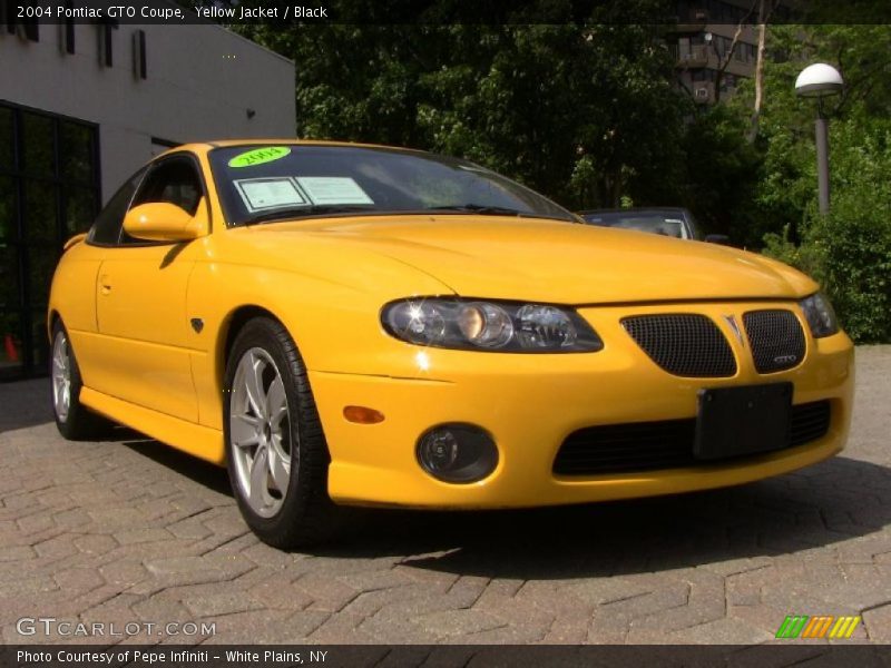 Yellow Jacket / Black 2004 Pontiac GTO Coupe