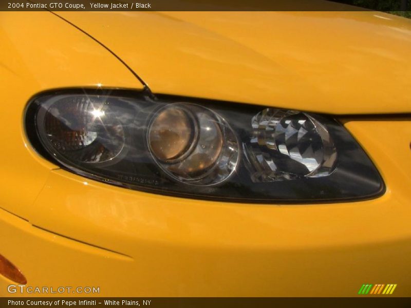 Yellow Jacket / Black 2004 Pontiac GTO Coupe