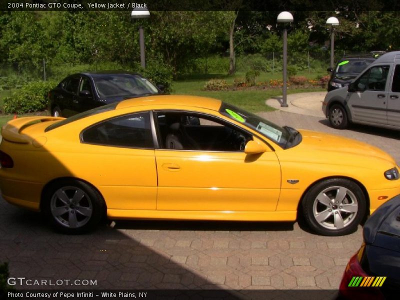 Yellow Jacket / Black 2004 Pontiac GTO Coupe