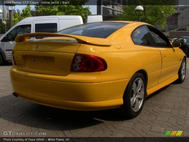 Yellow Jacket / Black 2004 Pontiac GTO Coupe