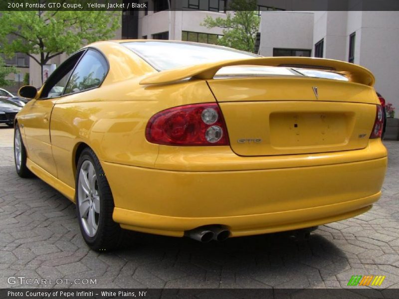 Yellow Jacket / Black 2004 Pontiac GTO Coupe