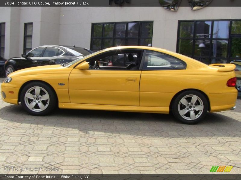 Yellow Jacket / Black 2004 Pontiac GTO Coupe